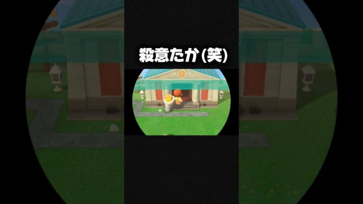 【あつ森】友達と遊んでる時にバグで死にかけましたw #あつ森 #あつまれどうぶつの森