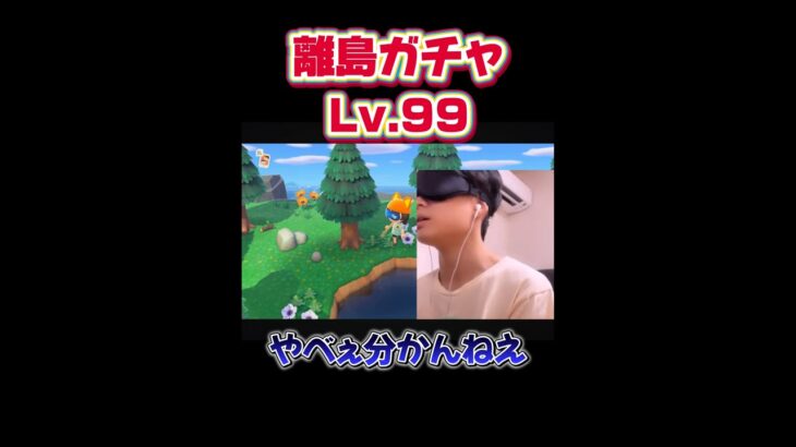 目隠しで離島ガチャしたら奇跡起きたw 【あつ森】