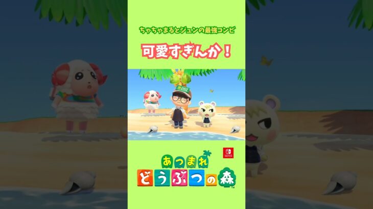 ちゃちゃまるとジュンによる可愛さのコラボレーションw【あつ森】