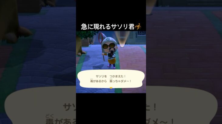 今日もサソリを素手で掴んじゃってますw #あつまれどうぶつの森 #あつ森 #ゲーム実況 #shorts
