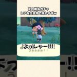 【あつ森】レアな虫や魚が大量！夏の離島ガチャ楽しすぎるw【あつまれどうぶつの森】#shorts #あつ森