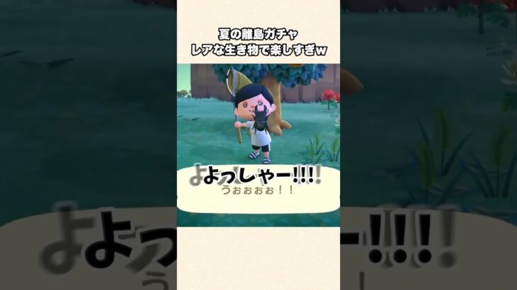 【あつ森】レアな虫や魚が大量！夏の離島ガチャ楽しすぎるw【あつまれどうぶつの森】#shorts #あつ森