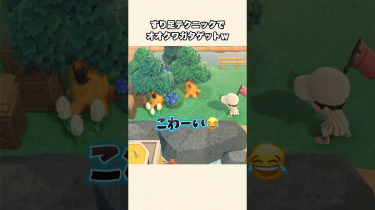 【あつ森】激レア虫！オオクワガタプロのすり足テクニック見せますw【あつまれどうぶつの森】#shorts #あつ森