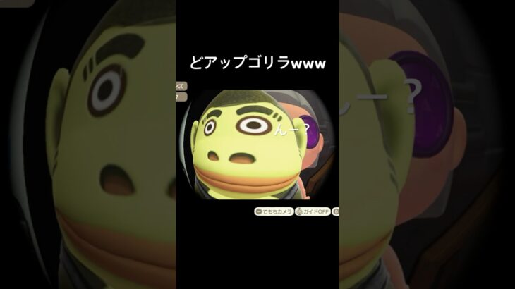 どアップのたもつ君がおもろいwww #あつ森 #あつまれどうぶつの森 #ゲーム実況 #shorts