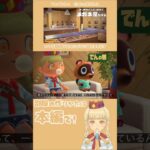 【あつ森】弟と激安メガネ屋に行った話/雑談 #youtubeshorts