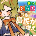 【 あつ森 】#03 たぬきちに全ての仕事を押し付けられています🪓🐻💢【 #みどくま園 】
