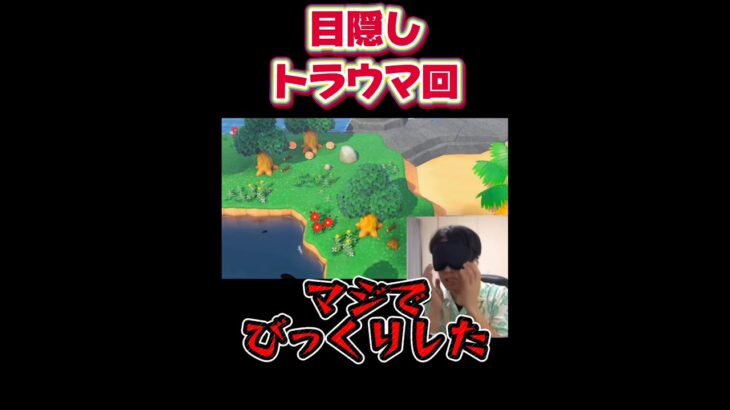 あつ森やってて1番怖かった【離島ガチャ】