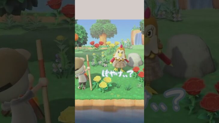 魂の住民厳選離島ガチャ100連の様子 #あつ森 #あつまれどうぶつの森 #animalcrossing