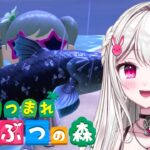 【＃あつまれどうぶつの森 】　のんびりあつ森　無人島生活13日目　【＃新人VTuber /　白玉うな 】