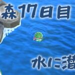 【あつ森17日目】海に潜ってみた！【あと部屋増えたし花畑もいじった】