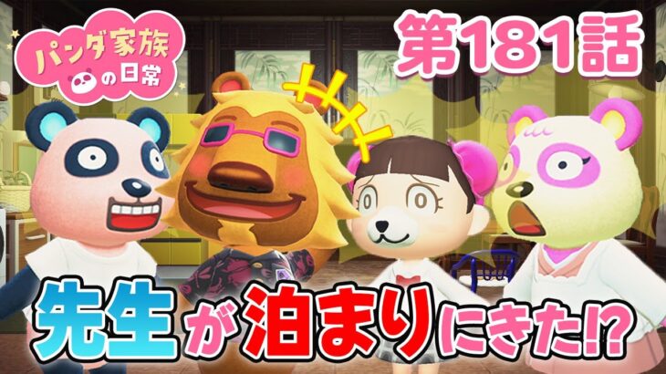 【あつ森アニメ】パンダ家族の日常 第181話「先生が泊まりにきた」