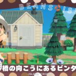【あつ森🫘】#19 橋の向こう側にあるビンタのお家と島民代表のお家🏠￤ゼロからつくるナチュラル島クリエイト🌳【島クリ】