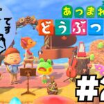 【あつ森初心者】スイッチ2で島暮らし！【のんびりあつ森】