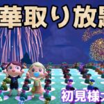 【あつ森実況】2025年初心者さんお楽しみ企画！豪華取り放題企画！参加型！【初見さん歓迎！】