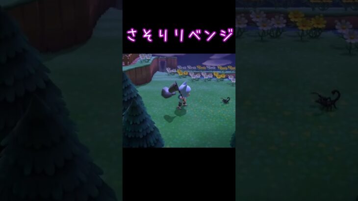 さそりリベンジ【あつ森】20250703