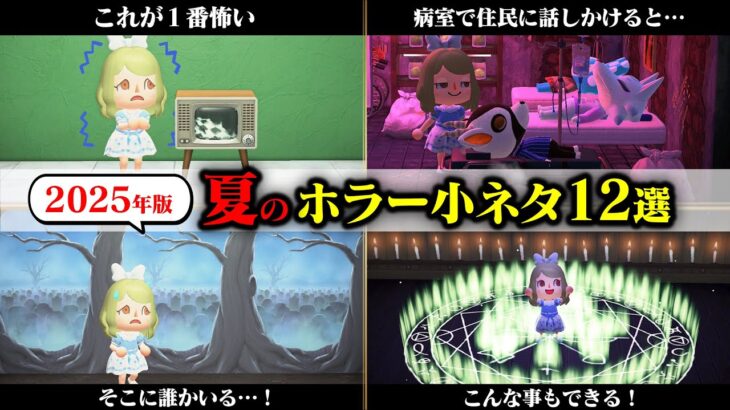 【あつ森】2025年厳選・本当に怖いホラー小ネタ12選！ハピパラ病院の怖い話や幽霊が出る壁などまとめて紹介【あつまれどうぶつの森】