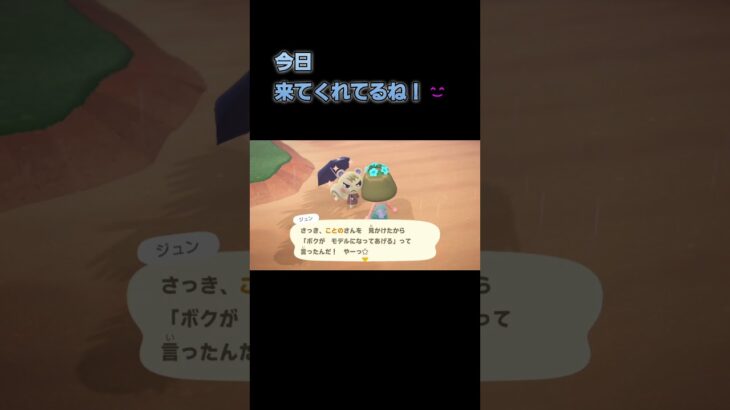 あつ森　#204　まったりしていきませんか？🐿️🎵