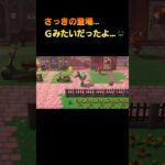 あつ森　#206　まったりしていきませんか？🙀🦂
