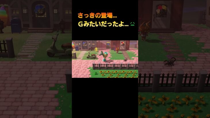 あつ森　#206　まったりしていきませんか？🙀🦂