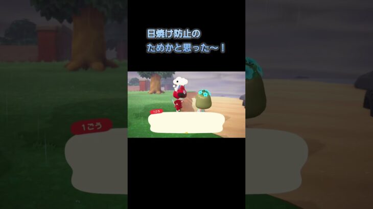 あつ森　#208　まったりしていきませんか？😼✨️