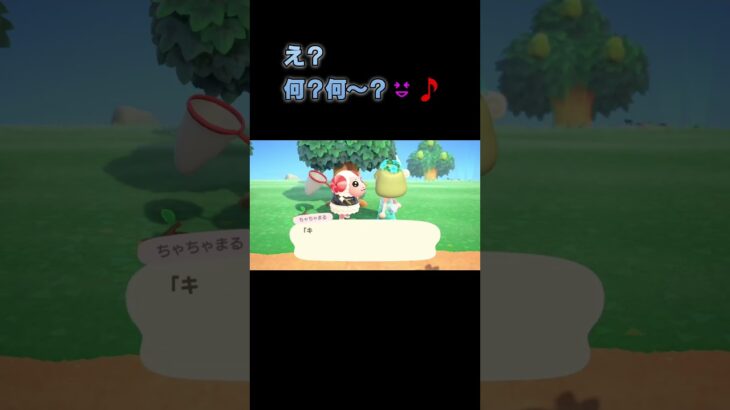 あつ森　#215　まったりしていきませんか？🐑☆