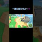 あつ森　#225　まったりしていきませんか？🐰🎵