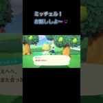 あつ森　#226　まったりしていきませんか？🐰🍫