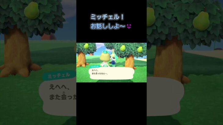 あつ森　#226　まったりしていきませんか？🐰🍫