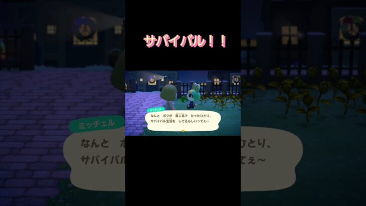 あつ森　#235　まったりしていきませんか？🐰✨️