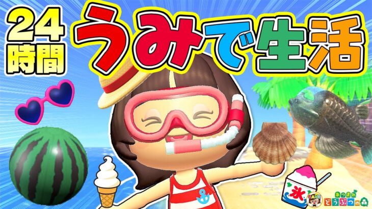 【あつ森】24時間海で生活【あつまれどうぶつの森】