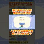 【あつ森】海の幸2500匹捕まえたら入手できる肩書き【たぬきマイレージコンプ】#shorts #あつ森 #あつまれどうぶつの森  #acnh #animalcrossingnewhorizons