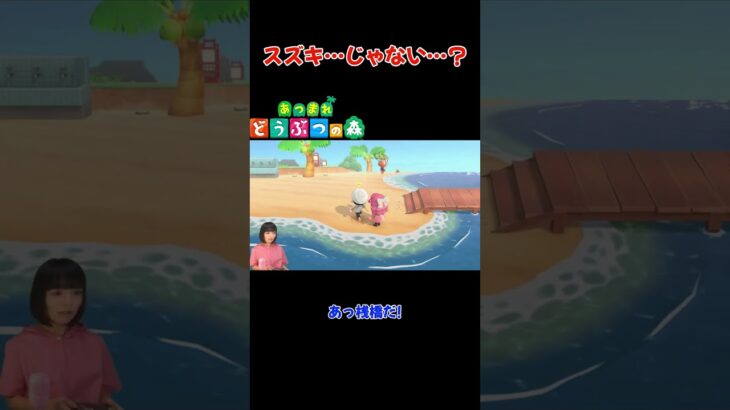 スズキ…じゃない…？【あつまれ どうぶつの森(おすそ分け・2人プレイ)】#shorts #あつ森 #animalcrossing #夫婦実況 #ゲーム実況