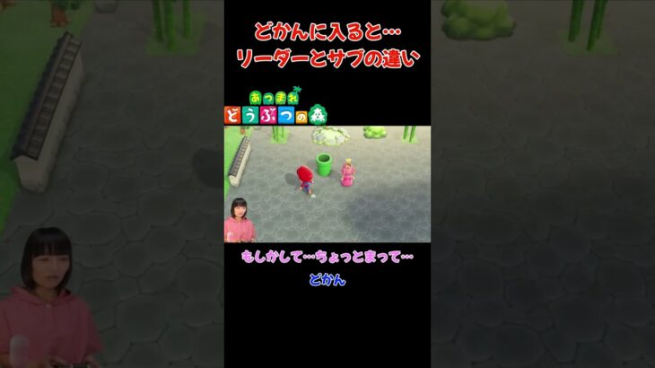 どかんに入ると…リーダーとサブの違い【あつまれ どうぶつの森(おすそ分け・2人プレイ)】#shorts #あつ森 #animalcrossing #夫婦実況 #ゲーム実況