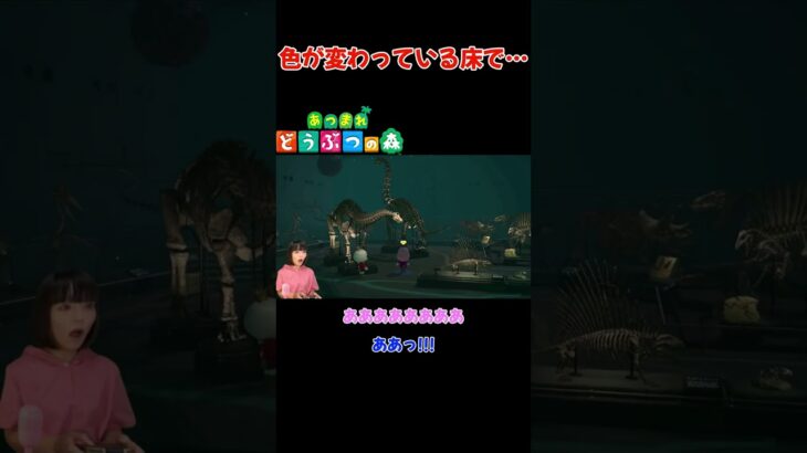 色が変わっている床で…博物館【あつまれ どうぶつの森(おすそ分け・2人プレイ)】#shorts #あつ森 #animalcrossing #夫婦実況 #ゲーム実況