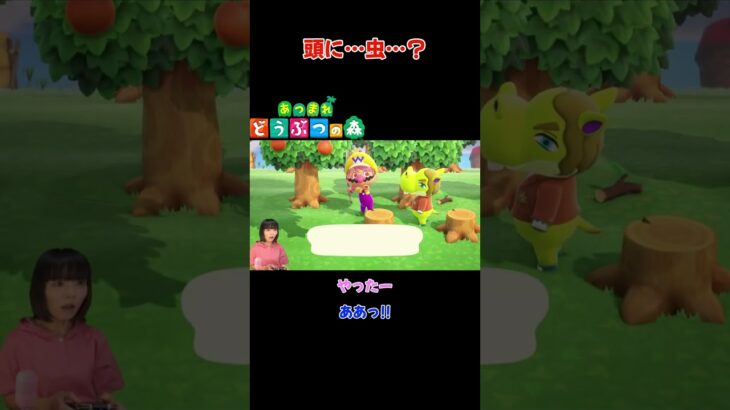 頭に…虫…？【あつまれ どうぶつの森(おすそ分け・2人プレイ)】#shorts #あつ森 #animalcrossing #夫婦実況 #ゲーム実況