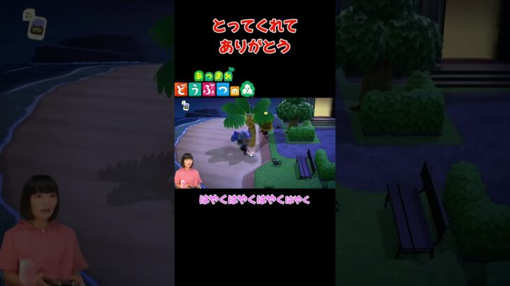 とってくれて…ありがとう【あつまれ どうぶつの森(おすそ分け・2人プレイ)】#shorts #あつ森 #animalcrossing #夫婦実況 #ゲーム実況