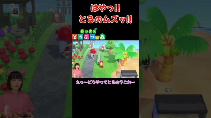 はやっ!!とるのムズッ!!【あつまれ どうぶつの森(おすそ分け・2人プレイ)】#shorts #あつ森 #animalcrossing #夫婦実況 #ゲーム実況