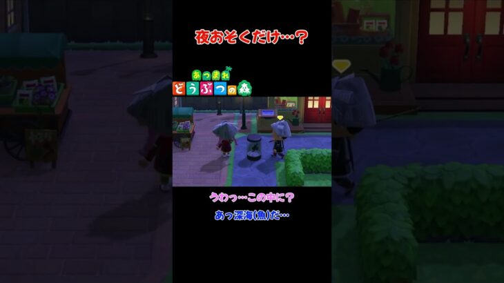 夜おそくだけ…？【あつまれ どうぶつの森(おすそ分け・2人プレイ)】#shorts #あつ森 #animalcrossing #夫婦実況 #ゲーム実況