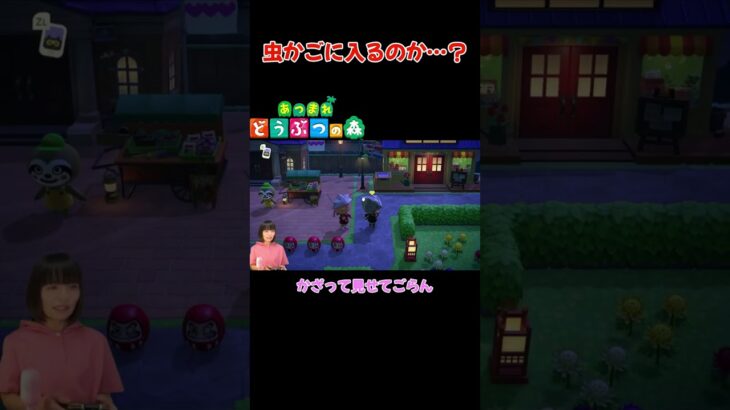 虫かごに入るのか…？【あつまれ どうぶつの森(おすそ分け・2人プレイ)】#shorts #あつ森 #animalcrossing #夫婦実況 #ゲーム実況