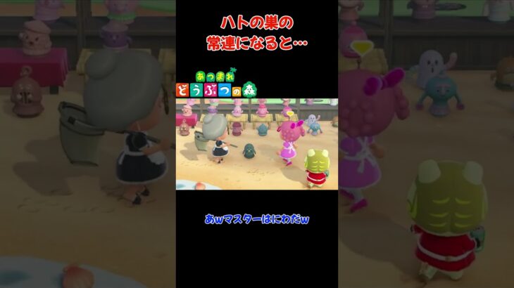 ハトの巣の常連になると…【あつまれ どうぶつの森(おすそ分け・2人プレイ)】#shorts #あつ森 #animalcrossing #夫婦実況 #ゲーム実況