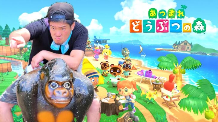 【3日目】あつ森で遊びたい！→少し慣れた無人島暮らし→ ジョニーとの出会い→鉄鉱石が無限に欲しい→博物館散歩　#生配信 #あつまれどうぶつの森  #実況  #ゲーム実況 #ゲーム