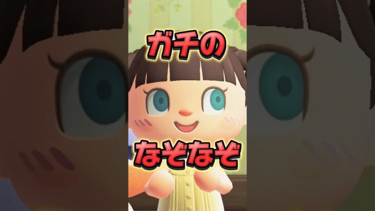なぞなぞの真実に気付いた小3娘/あつ森アニメ#あつまれどうぶつの森