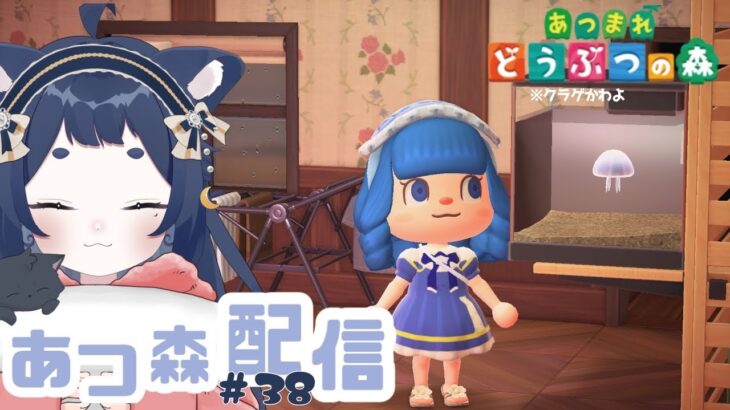 【あつまれどうぶつの森】さぁ！久しぶりの深夜帯あつ森配信！＃38【きゃむまる】 #新人vtuber  #あつ森 #睡眠導入