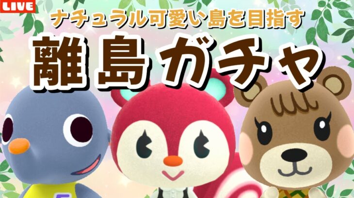 【あつ森】残り3人を絶対お迎えしたい！可愛い住民探す離島ガチャ！ナチュラルかわいい島クリを目指すLIVE配信！【あつまれ どうぶつの森】