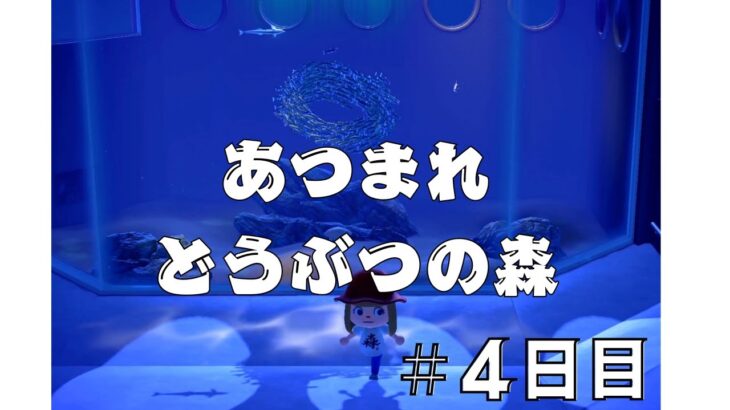 あつ森 #4日目〜博物館に感動〜