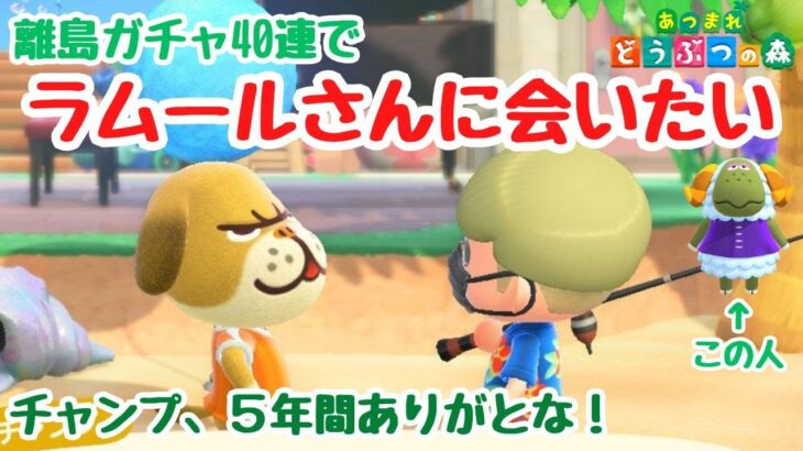 【あつ森 離島ガチャ】ラムールさんに会いたい！離島ガチャ40連！【ACNH】【あつまれどうぶつの森】【ライブ配信】