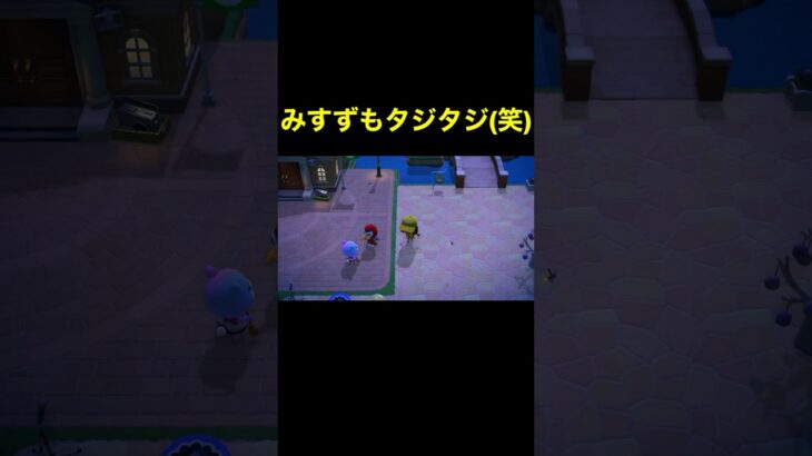【みすずもタジタジ(笑)あつ森#474】#shorts#switch#あつ森#あつまれどうぶつの森#ゲーム