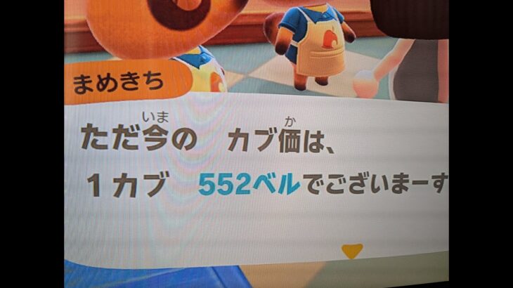【あつ森】カブ552島開放中！高評価、チャンネル登録で無料です！