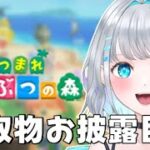 【あつ森 #5】どう森シリーズ完全初見！島と虫と魚と化石を見せたい！【新人vtuber】