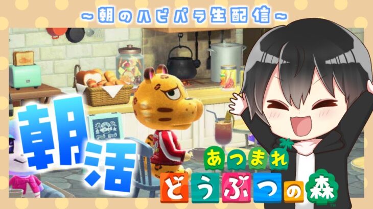 【朝活】おはようあつ森！6×6でレイアウト！ハッピーホームアカデミー